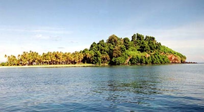 Pulau Penyengat (Indonesia)
